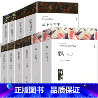 [全10册]悲惨世界2册+大卫.科波菲尔上下2册+飘2册+战争与和平2册+基督山伯爵2册 [正版]悲惨世界书雨果精译李玉