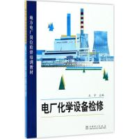 正版新书]电厂化学设备检修王宁9787519807306