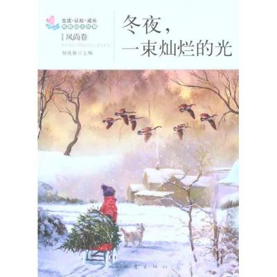 正版新书]冬夜,一束灿烂的光杨晓敏9787502840105