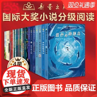 正版童书 国际大奖小说·分级阅读四星(新版 共25册)新蕾出版社一二三年级小学生课外阅读书籍