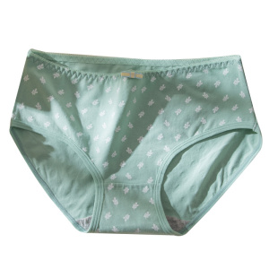 浪莎内裤女士中腰纯棉抑菌可爱短裤衩韩版卡通印花甜美少女心学生日系三角裤头5条