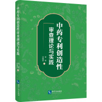 中药专利创造性审查理论与实践