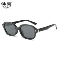 铁青猫眼偏光眼镜PG19 个