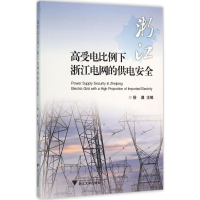 音像高受电比例下浙江电网的供电安全徐谦 主编