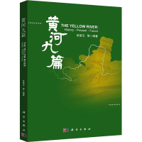 音像黄河九篇张楚汉,王光谦