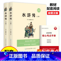 五年级下·水浒传(全两册) [正版]小学语文课外阅读文学经典29册 彩插 附赠学习手册 小学语文教科书配套阅读