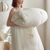 A类母婴级全棉蚕丝蛋白被纯棉春秋被冬被拉链款二合一加厚子母被