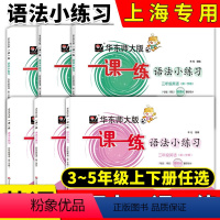 全套三册上册 小学通用 [正版]2023华东师大版一课一练英语语法小练习 三四五年级上下册/345年级牛津上海版 含句法