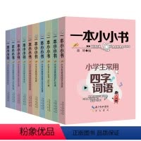 [王芳推荐]一本小小书 全10册 小学通用 [正版]王芳一本小小书系列全套10册 1-6年级知识点大全古文多音字近义词俗