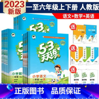 数学·青岛版 二年级上 [正版]2023新版53天天练一二三四五六年级上册下册语文数学英语人教版北师大西师外研同步练习簿