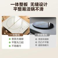 苏泊尔(SUPOR)超猛火电磁炉家用电陶炉电磁灶电池炉火锅新型超薄大功率电炉一体大面板电火灶C22-IA818D C22