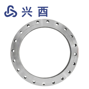 兴酉 法兰盘PN10 DN600 片