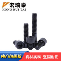 宏瑞泰 发黑内六角螺栓 M10*25 个