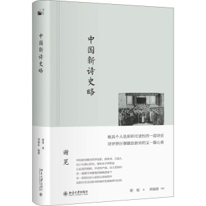 中国新诗史略