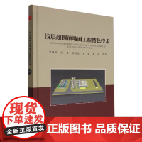 全新正版 浅层超稠油地面工程特色技术 中国石油大学出版社 9787563674459