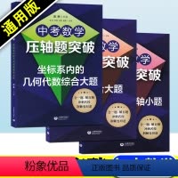 [正版]中考数学压轴题突破几何综合大题 选择填空压轴小题/坐标系内的几何代数综合大题 初中数学七八九年级2021中考数