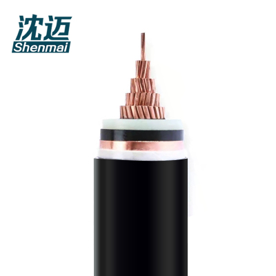 沈迈 铜芯电力电缆 ZC-YJV62-10-1-1*70mm²/米