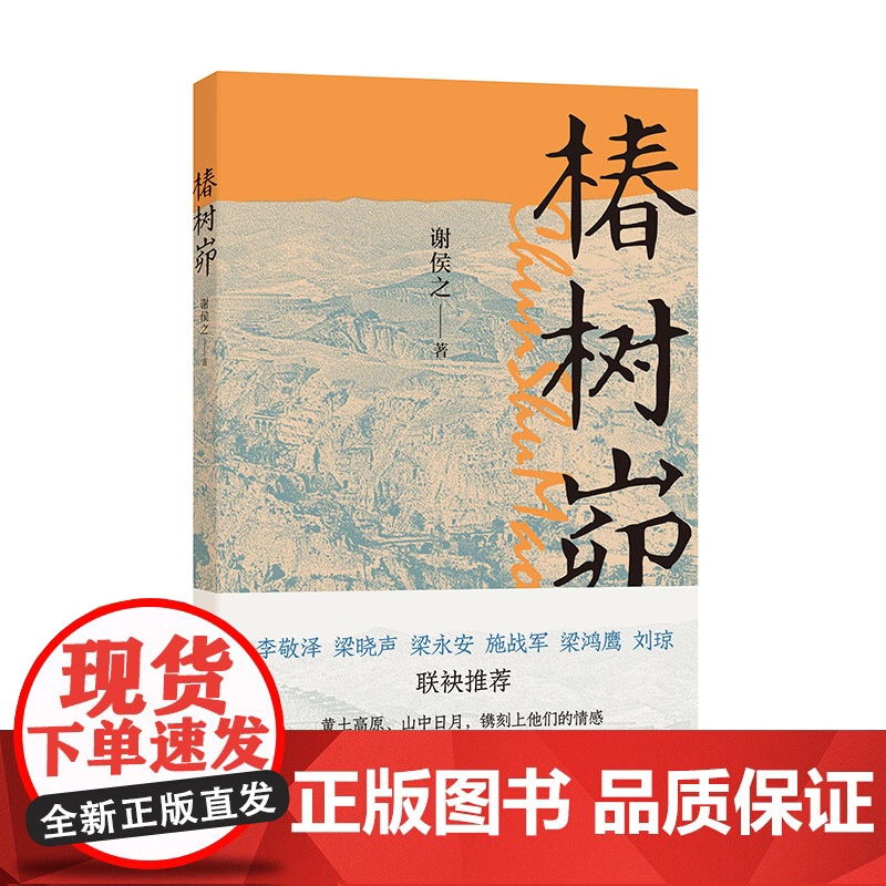 椿树峁(读完本书,让人浮想联翩,虽然《人世间》没有涉及陕北,但还是让人想起《知青》 谢侯之 中华书局 正版书籍