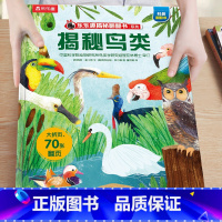 24.揭秘鸟类 [正版]揭秘系列儿童翻翻书3-6-8-12岁以上太空海洋恐龙人体汽车火车飞机绘本3d立体科普大小百科全书