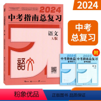 广西中考-语文A版 [正版]2024广西中考指南总复习语文A版 广西初中学业水平考试指导用书中考复习讲义备考练习专项分类