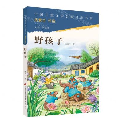 [N]野孩子/中国儿童文学名家自选书系-9787548855576