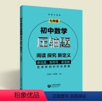 [正版]初中数学压轴题阅读探究新定义七年级上下册通用版数学精讲解题技巧与方法初中数学思维训练课外辅导培优尖子生资料上海
