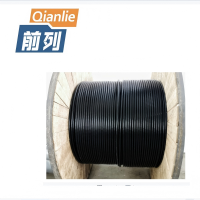 前列 铜芯交联电缆ZC-YJV-0.6/1KV-2×16mm² 米