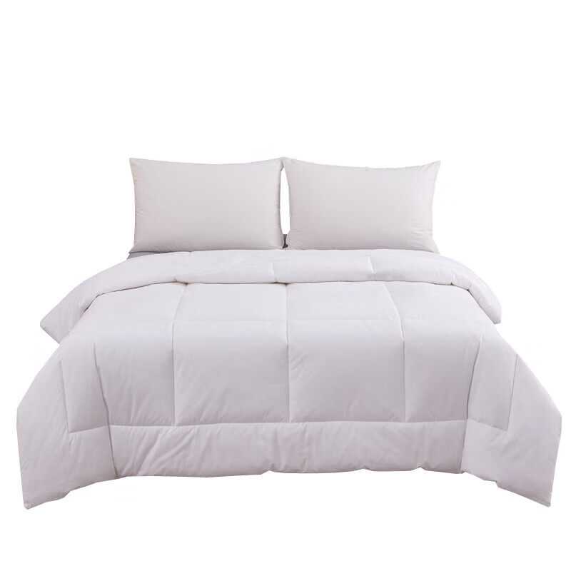 汉司家纺 HANSI-52 全棉防羽布 160*220cm 四季通用被芯 被子 1.00 件/条 (计价单位:条)