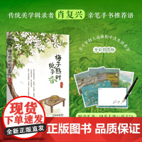 梅子熟时栀子香 肖复兴 散文精选集 经典美文舒缓治愈温暖文字 那片绿绿的爬山虎 中国现当代文学散文书籍