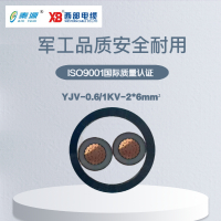 秦源牌 YJV-0.6/1KV-2*6mm² 铜芯低压电力电缆 元/米 定制商品 联系客服