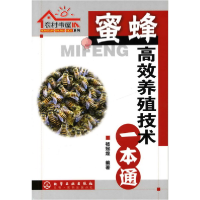 音像农村书屋系列--蜜蜂高效养殖技术一本通杨冠煌