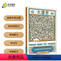 [正版]丨《大迷宫》附可擦笔 儿童绘本5-6-7-8-9益智游戏 从易到难不同主题迷宫 培养专注力空间感知力逻辑思维抗