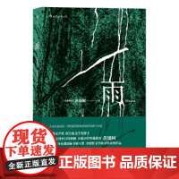 后浪正版 雨 黄锦树 金鼎奖文学图书奖获奖作品 短篇小说 作品集 现代文学 马华文学 但是还有书籍朱岳