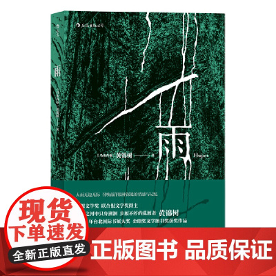 后浪正版 雨 黄锦树 金鼎奖文学图书奖获奖作品 短篇小说 作品集 现代文学 马华文学 但是还有书籍朱岳