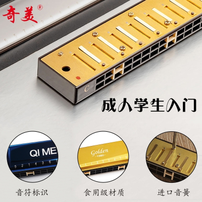 奇美口琴初学者学生美成人男女入门儿童复音C调24孔自学专业演奏级