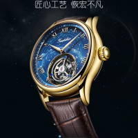 嘉年华(CARNIVAL)经典真陀飞轮机械表 男士时尚镂空防水手表男表夜光腕表星空定制表盘7006-A