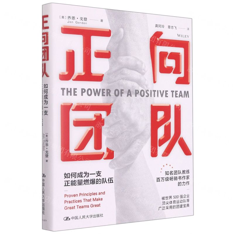 [N]正向团队(如何成为一支正能量燃爆的队伍)(精)-9787300297170