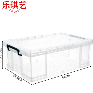 乐琪艺