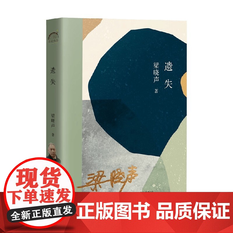 遗失 梁晓声 著 文学
