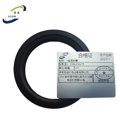 悉金 Y型密封圈 XJ - 250x234x18 个