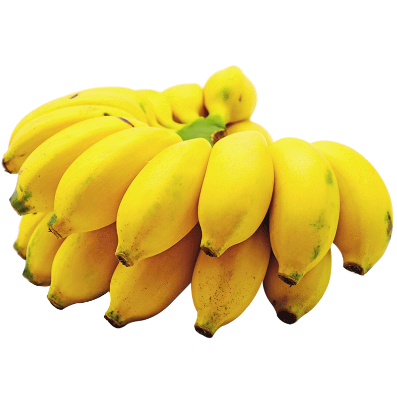 5斤 新鲜现摘芭蕉当季小香蕉应季水果