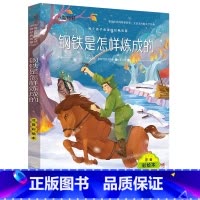 [正版]钢铁是怎样炼成的 小学生一二三年级课外书读物7-10-12岁儿童文学故事书籍 钢铁是怎么练成的 保尔柯察金经典