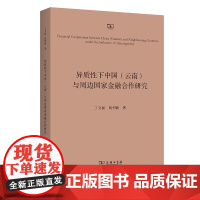 异质性下中国(云南)与周边国家金融合作研究 丁文丽 胡列曲 著 商务印书馆
