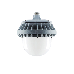 SW8110D防水防尘LED泛光灯固定工业厂区投光灯石油化工应急灯