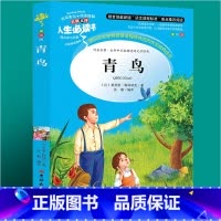 青鸟 [正版]昆虫记完整版法布尔原著小学生三四五六年级必读课外阅读书籍彩图老师6-7-8-9-12岁初中生青少年版儿童读