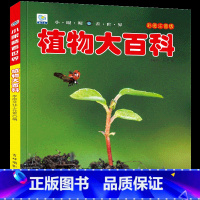 [任选3本39元]植物百科 [正版]人体大百科全书注音版人体的奥秘儿童少儿科普绘本小百科读物科学启蒙认知幼儿宝宝3-6-
