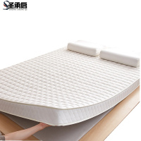 圣承启椰棕床垫120×190张