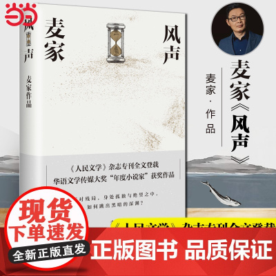 [ 正版书籍]风声 2018版 茅盾文学奖得主麦家代表作 华语文学传媒大奖年度小说家”获奖作品人生海