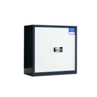 帅畅保密柜财务档案柜文件柜办公室资料储物柜保险柜矮柜灰白-国保密码锁