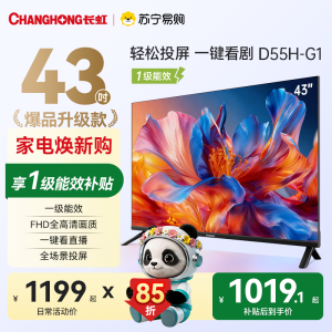 长虹电视 43D55H-G1 43英寸电视 高清 无线投屏卧室智能平板电视机以旧换新